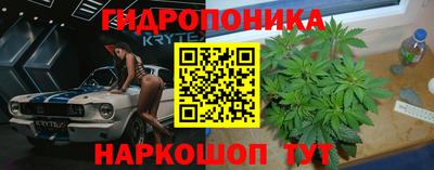 2c-b Будённовск