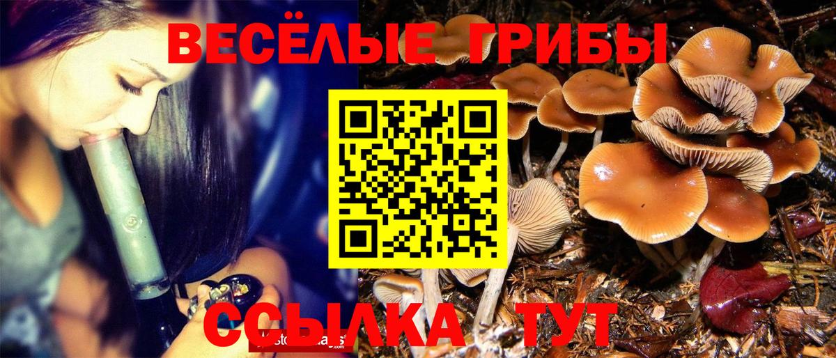 Галлюциногенные грибы прущие грибы Реж